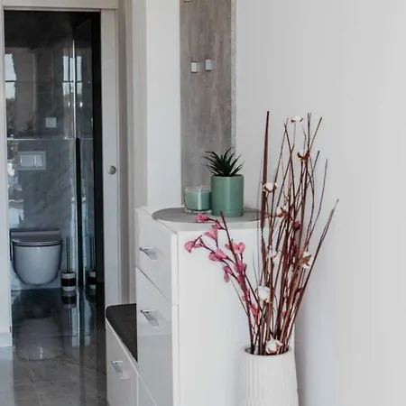 Modern With Terrace 브랜지카