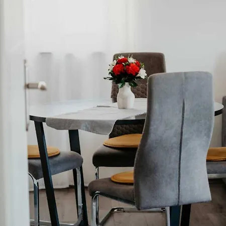 Modern With Terrace Apartment